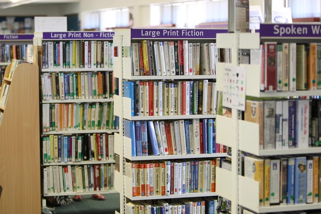 Free library shelves many books